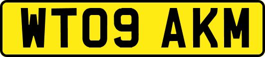 WT09AKM