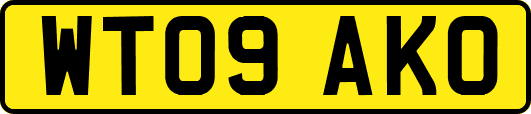 WT09AKO