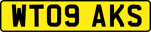 WT09AKS