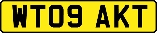 WT09AKT