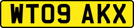 WT09AKX