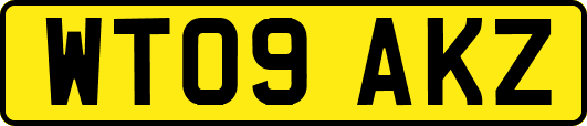 WT09AKZ