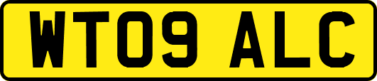 WT09ALC