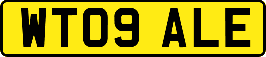 WT09ALE