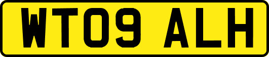 WT09ALH