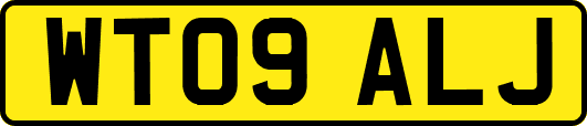 WT09ALJ