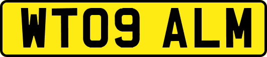 WT09ALM