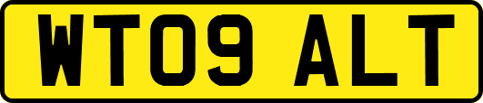 WT09ALT