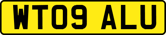 WT09ALU