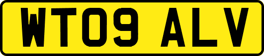 WT09ALV