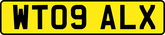WT09ALX