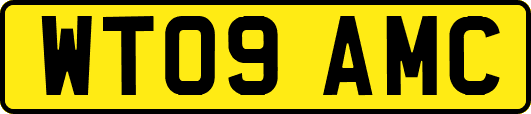 WT09AMC