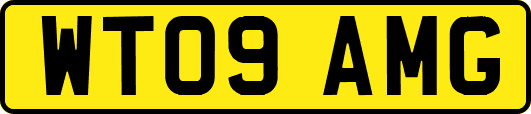 WT09AMG