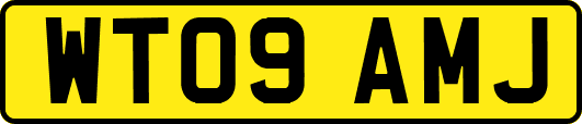 WT09AMJ