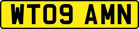 WT09AMN