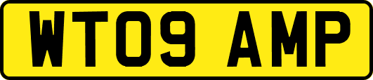 WT09AMP