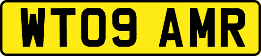 WT09AMR