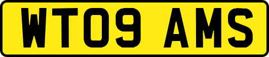 WT09AMS