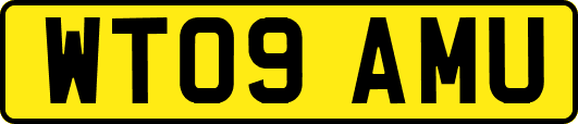 WT09AMU