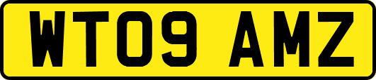 WT09AMZ