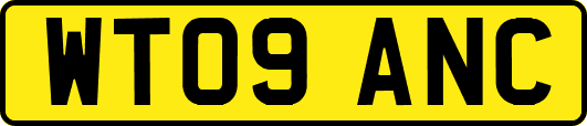 WT09ANC