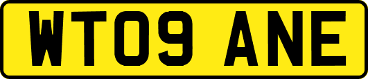 WT09ANE