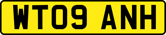 WT09ANH