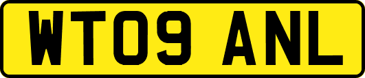 WT09ANL