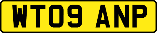 WT09ANP