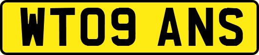 WT09ANS