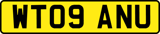 WT09ANU