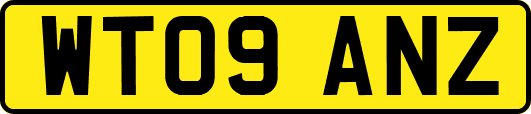 WT09ANZ