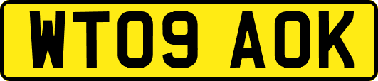WT09AOK
