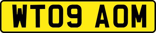 WT09AOM