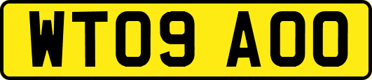 WT09AOO
