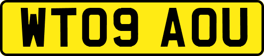 WT09AOU