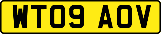 WT09AOV
