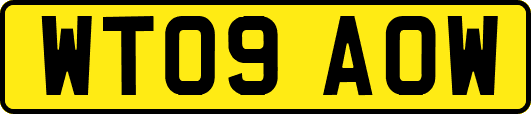 WT09AOW