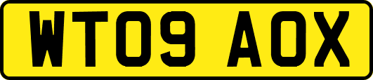 WT09AOX