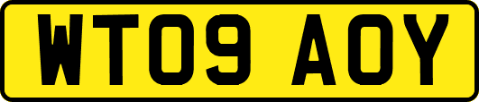 WT09AOY