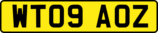 WT09AOZ