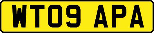 WT09APA