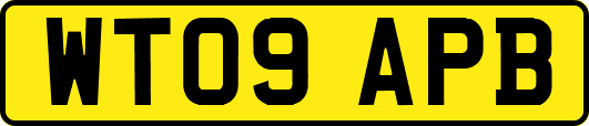 WT09APB