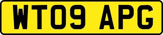 WT09APG