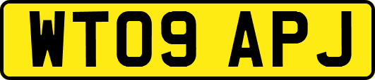 WT09APJ