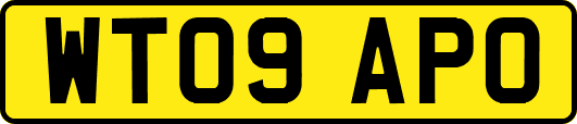 WT09APO