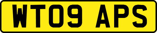 WT09APS