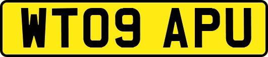 WT09APU
