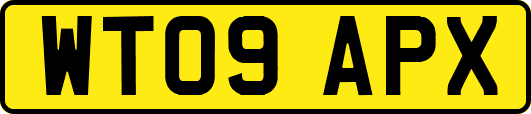 WT09APX