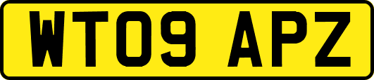 WT09APZ